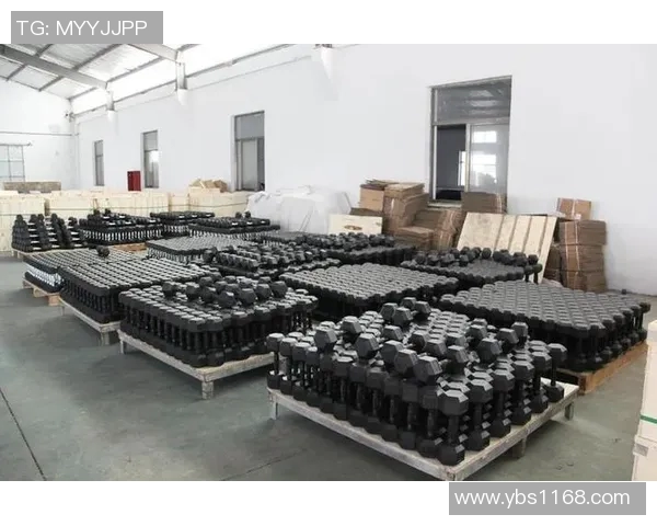 体育器材有限公司创新发展之路探讨与市场前景分析