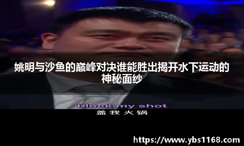 姚明与沙鱼的巅峰对决谁能胜出揭开水下运动的神秘面纱